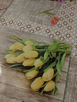 Фотография пользователя p08356061