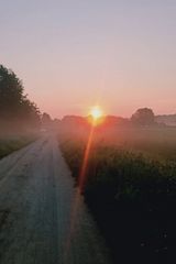 Фотография пользователя dawidawid922