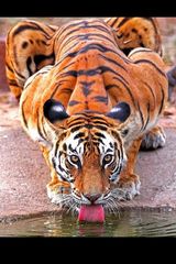 Zdjęcie użytkownika jasko74