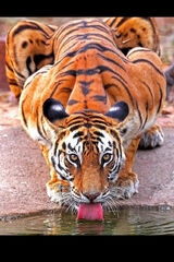 Фотография пользователя jasko74