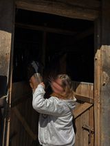 Foto pengguna sitcure