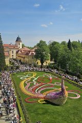 Zdjęcie użytkownika ffromus