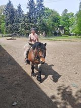 Foto penggunaborsuczemleko