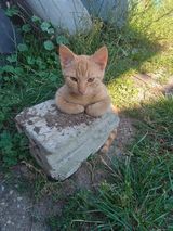 Фотография пользователя Jarojaro12
