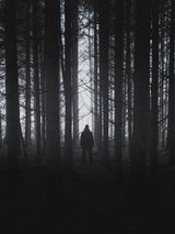 Benutzerfoto Fateweaver