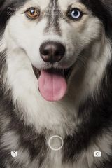 Foto pengguna wieczar01
