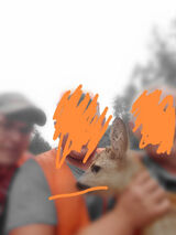 Фотография пользователя Muchacece