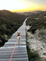 Foto pengguna hanjpgzfai