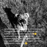 Fotos szczepaniakartur8