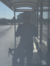 Zdjęcie użytkownika petero