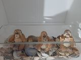 Benutzerfoto Kacperekk37