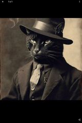 Zdjęcie użytkownika Monterciepla