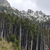 Foto pengguna anaandana737373