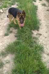 Photos arthur320