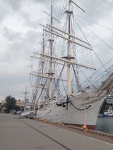 Zdjęcie użytkownika arekskorpion