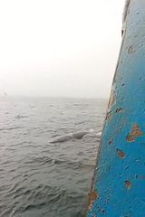 Foto pengguna Tomasz6o