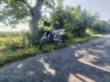 Zdjęcie użytkownika raczkaantoni230