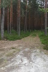 Benutzerfoto kamilkozyra1391990