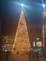 Benutzerfoto dannywanny