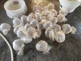 Фото користувача Madanas