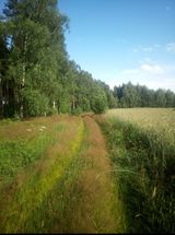 Fotos janosik84