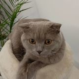 Zdjęcie użytkownika Haslo123456789