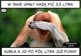 Фотография пользователя nierobmitego1