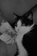 Foto pengguna KamilJanikos