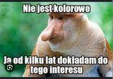 Foto pengguna Nieposionym