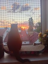 Фотография пользователя Andrzee