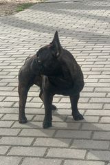 Фотография пользователя Piterpiter2010
