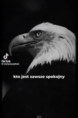 Фотография пользователя marcinwojdasiewicz