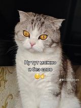 Фотография пользователя maciejos66