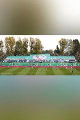 Benutzerfoto SiedleckiMi