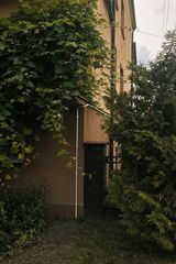 Фотография пользователя pvsunon