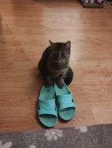 Fotos sabinaszpakowicz