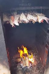 Benutzerfoto StasStachu