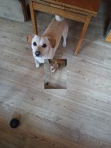Benutzerfoto dawidpalczynski9