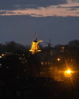 Fotos jakuberzowy