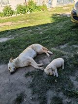 Фотография пользователя RybkaRyba1990