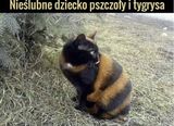Фотография пользователя Blankad
