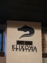 Фотография пользователя kubakopacz1