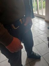 Fotos Lolabrennt