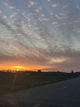 Benutzerfoto godlewskiigor459