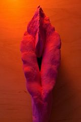 Benutzerfoto Pawcik84