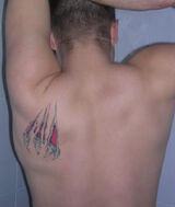 Benutzerfoto mateusz138709