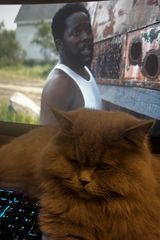 Фотография пользователя Gabe25