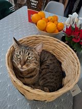 Фотография пользователя Kacha46
