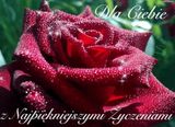 Фотография пользователя kaminskidariusz231