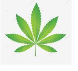 Фотография пользователя KamilAnonim420